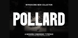 Pollard Font Poster 1