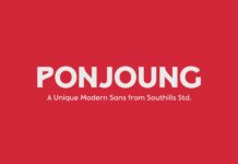 Ponjoung Font Poster 1