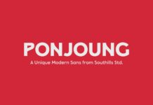 Ponjoung Font Poster 1