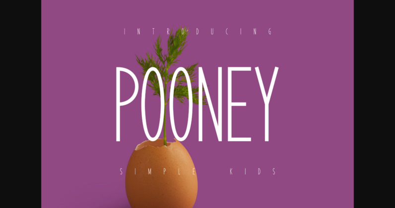 Pooney Font Poster 1