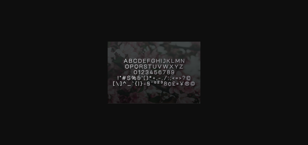 Porthea Font Poster 2