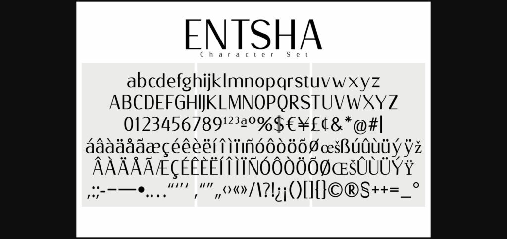 Entsha Font Poster 6