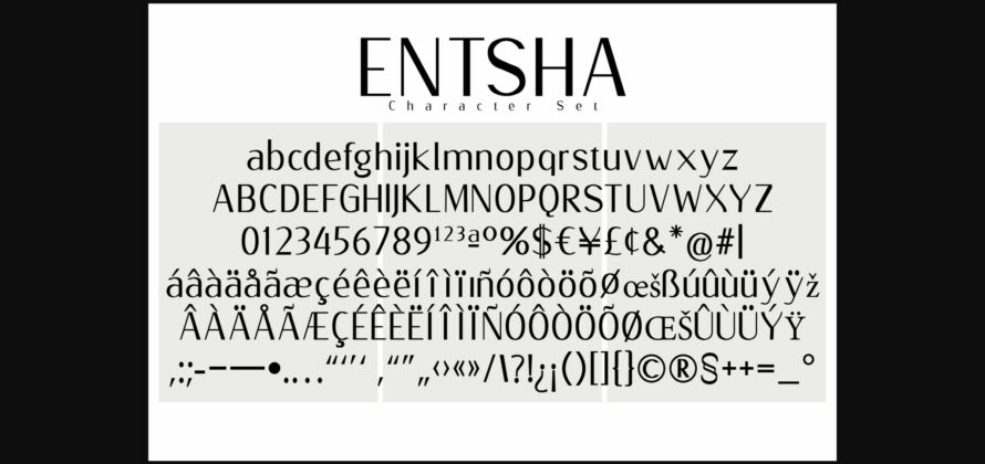 Entsha Font Poster 6