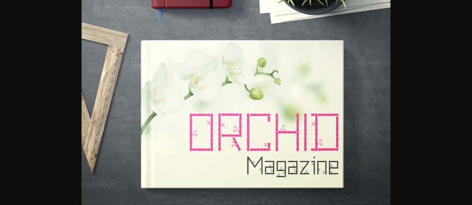 Pring Font Poster 5