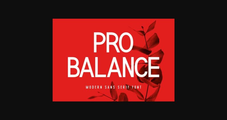 Pro Balance Font Poster 3