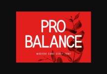 Pro Balance Font Poster 1