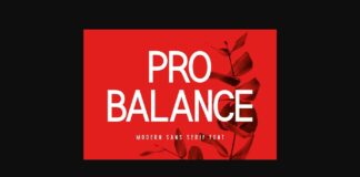 Pro Balance Font Poster 1