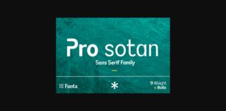 Pro Sotan Font Poster 1