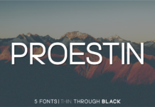 Proestin Font Proestin Font Poster 1