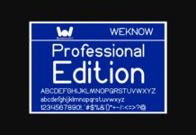 Professional Edition Font Poster 1