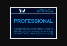 Professional Font Poster 1