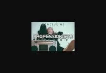 Professionista Font Professionista Font Poster 1