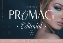 Promag Duo Font Poster 1
