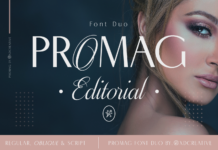 Promag Duo Font Promag Duo Font Poster 1