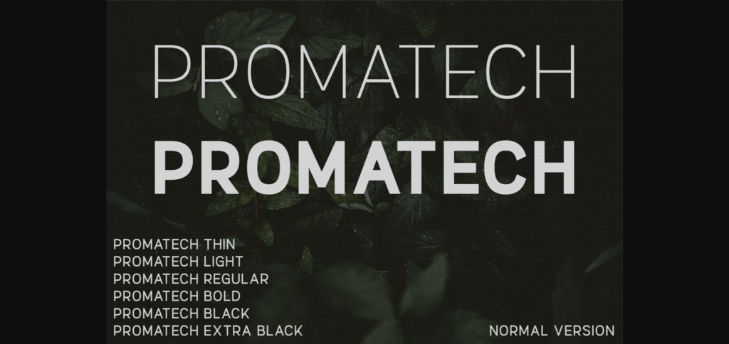 Promatech Font Poster 3