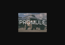 Promule Font Promule Font Poster 1