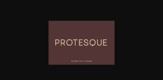 Protesque Font Poster 1