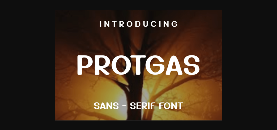 Protgas Font Poster 3