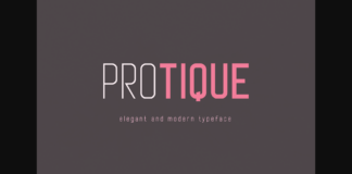 Protique Font Poster 1