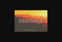 Protrake Font Poster 1