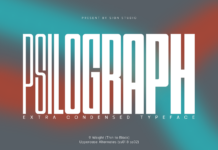 Psilograph Font Poster 1