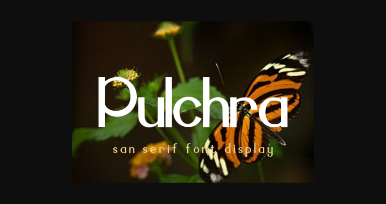 Pulchra Font Poster 3