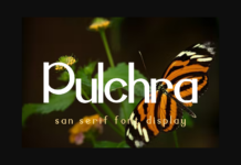 Pulchra Font Poster 1