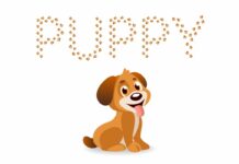 Puppy Font Poster 1