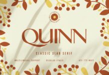 Quinn Font Poster 1