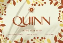 Quinn Font Quinn Font Poster 1