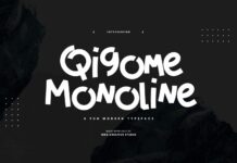 Qigome Monoline Font Poster 1
