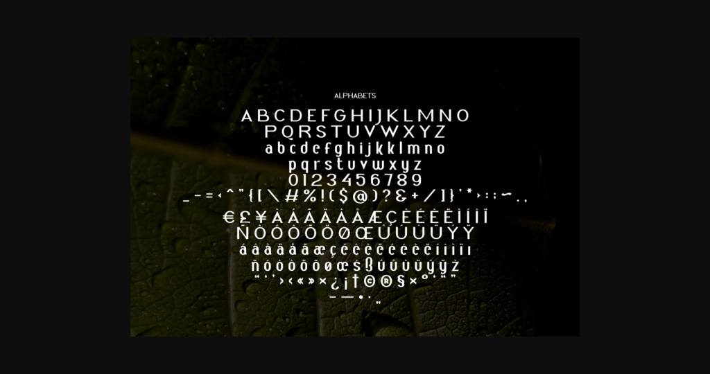 Qreakitty Font Poster 4