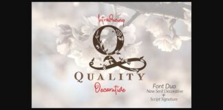 Quality Font Poster 1