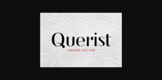 Querist Font Poster 1