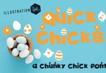 Quick Chicks Font Poster 1
