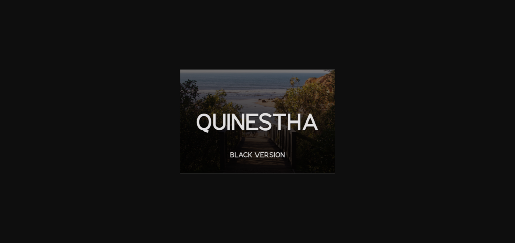 Quinestha Black Font Poster 3