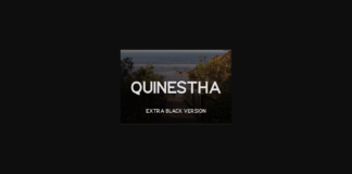 Quinestha Extra Black Font Poster 1