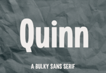 Quinn Font Poster 1