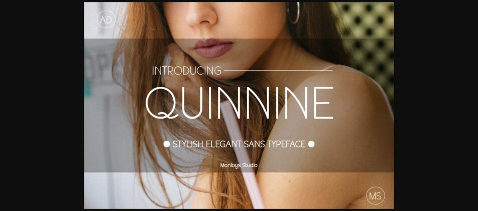 Quinnie Font Poster 3
