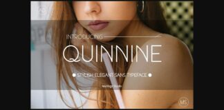 Quinnie Font Poster 1