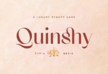 Quinshy Font Poster 1