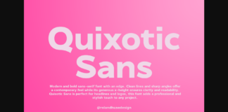 Quixotic Sans Font Poster 1