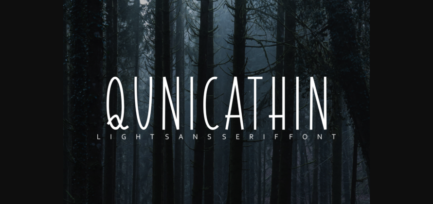 Qunicathin Font Poster 1