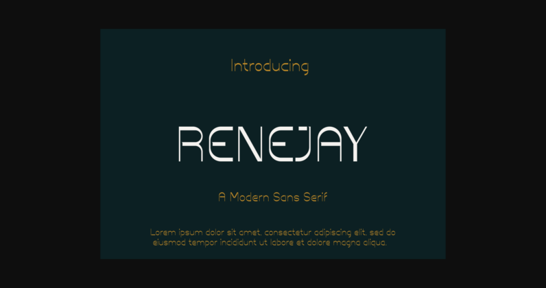 Renejay Font Poster 1