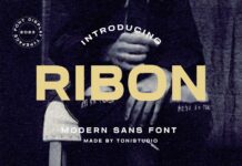 Ribon Font Poster 1