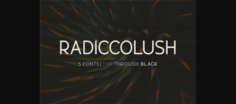 Radiccolush Font Poster 3