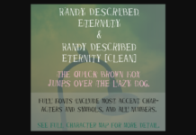Randy Described Eternity Font Poster 1