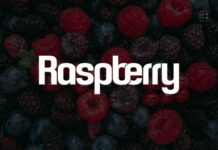 Raspberry Font Poster 1