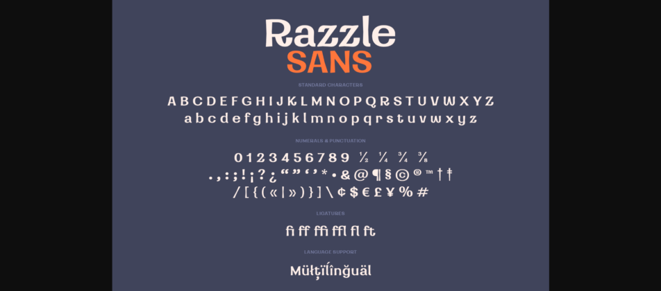 Razzle Sans Font Poster 7