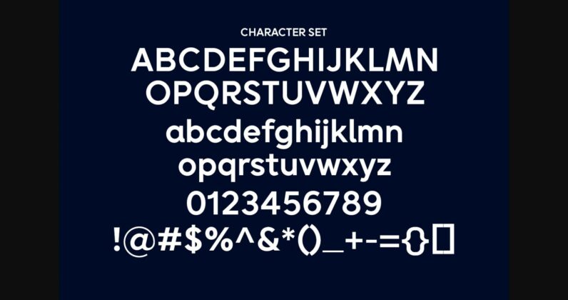 Realys Font Poster 10